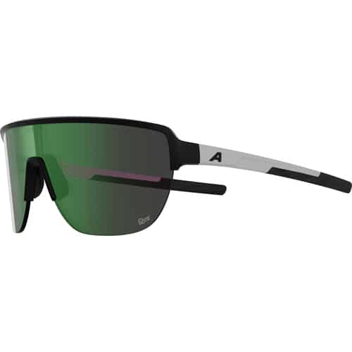 Alpina RAM 2.0 Fahrradbrille bei Sport Schuster München