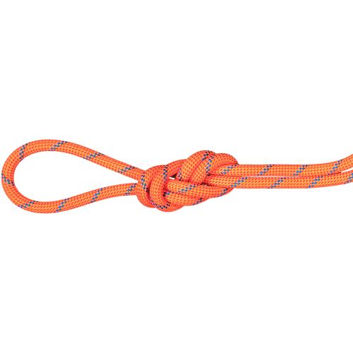 Mammut 7.5 Alpine Sender Dry 50m Halbseil bei Sport Schuster München
