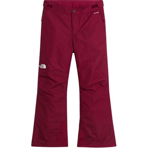 The North Face Freedom Insulated Kinder Skihose bei Sport Schuster München