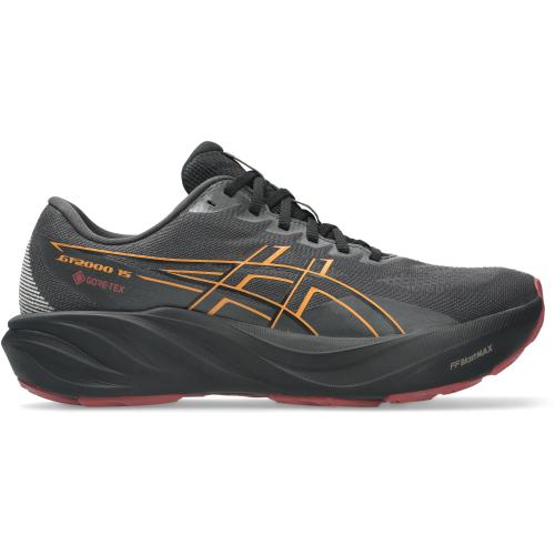 GT 2000 15 GORE-TEX Herren Laufschuhe