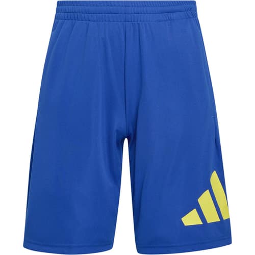 adidas Train Essentials Big Logo Kinder Shorts bei Sport Schuster München