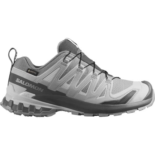 Salomon XA Pro 3D V9 GORE-TEX Damen Trailrunningschuhe bei Sport Schuster München