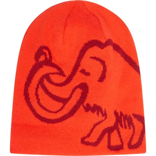 Mammut Mammut Logo Beanie Reversible Mütze bei Sport Schuster München