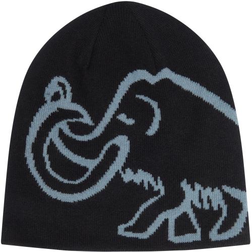Mammut Mammut Logo Beanie Reversible Mütze bei Sport Schuster München