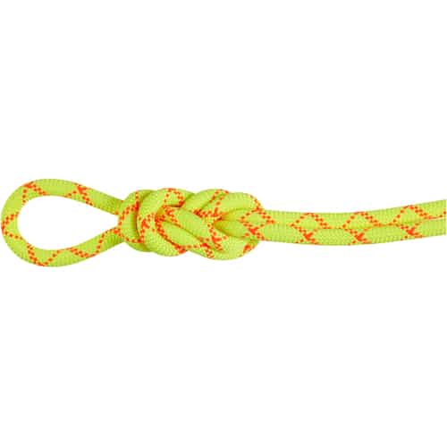 Mammut 9.5 Alpine Core Protect Dry 30 m Einfachseil bei Sport Schuster München