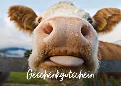 Schuster Geschenkgutschein bei Sport Schuster München
