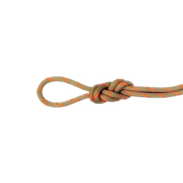 Mammut 8.0 Alpine Dry Rope Zwillingsseil (Hellgrau 60 Länge in m) Schlingen