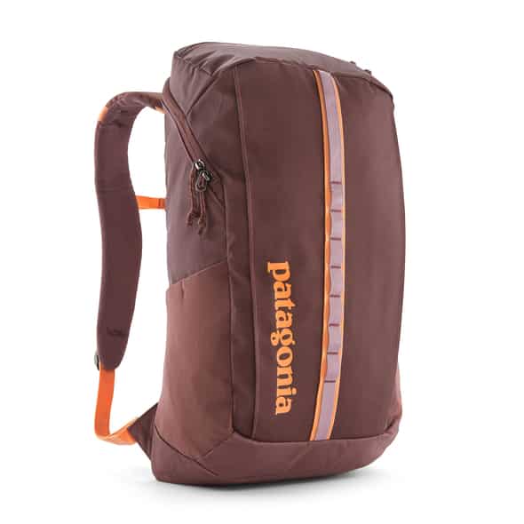 Patagonia Black Hole Pack 25 (Braun One Size) Daypacks