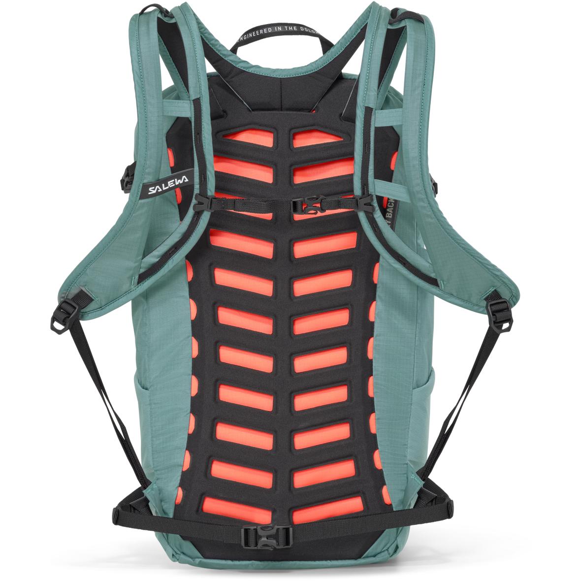 morepic-2