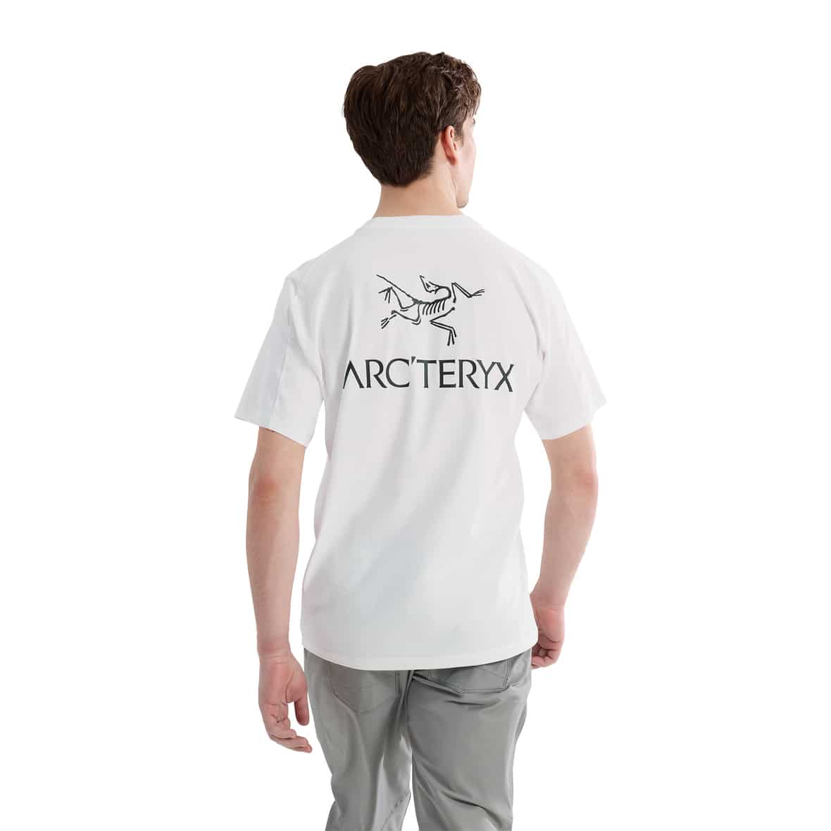 morepic-3