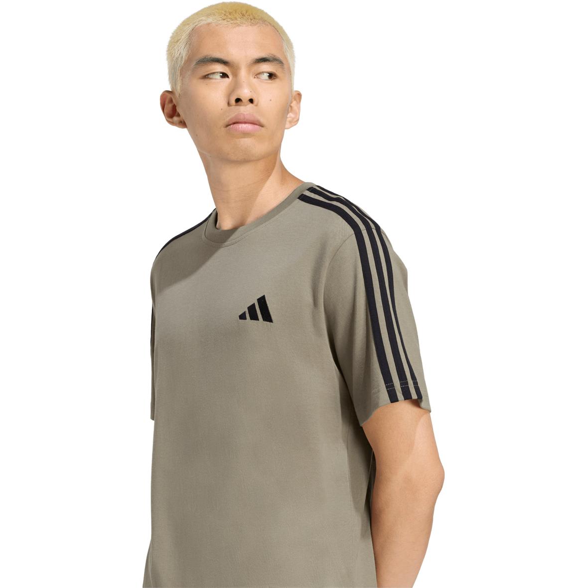 morepic-4