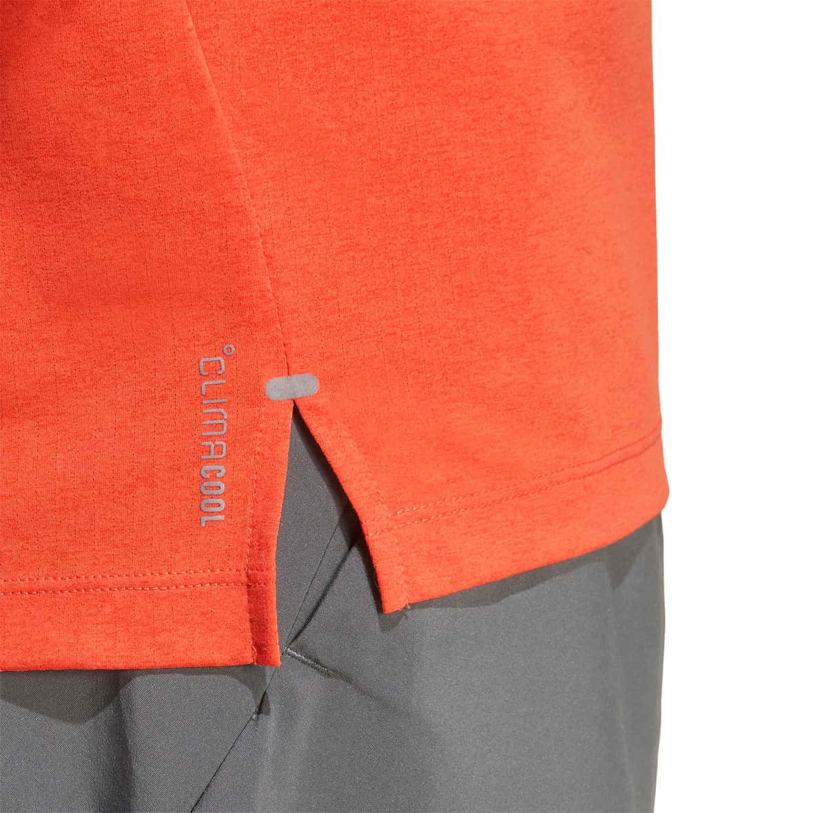 morepic-5