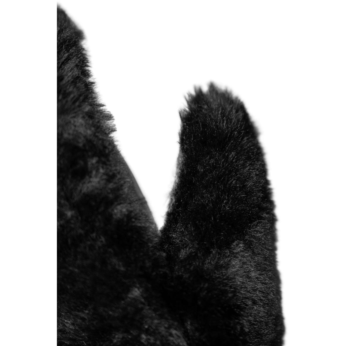 morepic-6