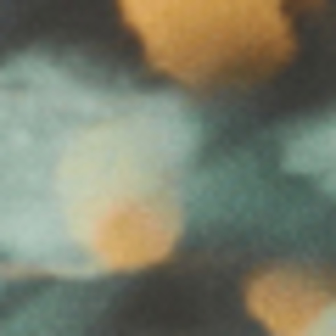 morepic-7