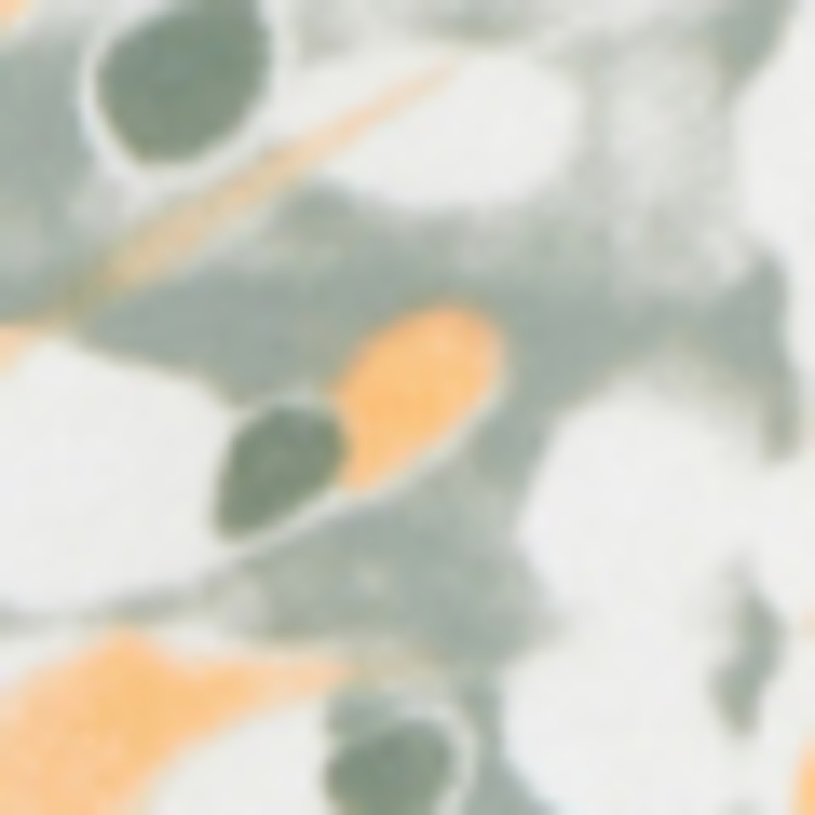 morepic-7